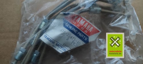 IMG_20230831_201034